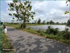 JUAL CEPAT Tanah Jl.Kaliurang, Klidon Dekat Cluster Mukti SukoHARJO