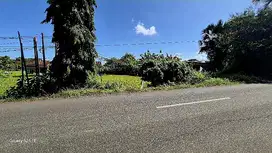TANAH 1000M2 PINGGIR JALAN UTAMA DI PENGAMBENGAN