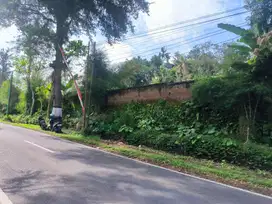 Tanah jalan utama Licin Banyuwangi