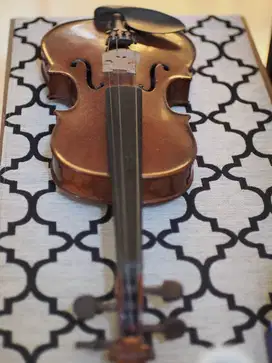 STAINER BIOLA 3/4 OLD