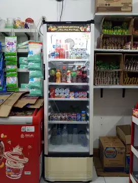 Showcase polytron jumbo