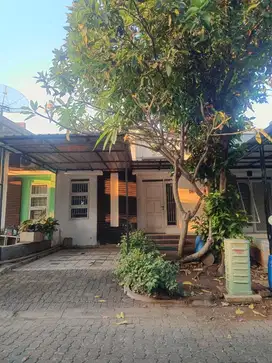 Dijual Rumah Siap Huni Graha Padma Semarang