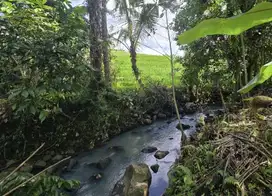 Tanah dengan view sawah dan los sungai yang indah