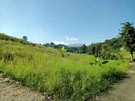 Tanah kavling murah di area wisata cisarua puncak bogor