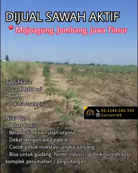 Tanah Sawah Aktif Produktif Raya Propinsi Mojoagung Jombang Jawa Timur