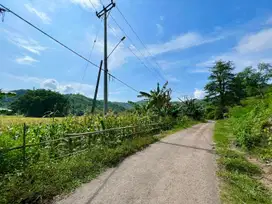 Tanah murah di Selong belanak lombok. Cocok untuk villa atau invest