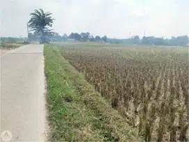Tanah Sawah di Karawang