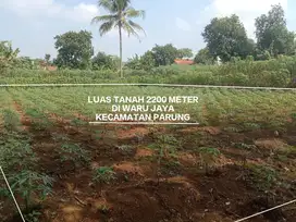 TANAH MURAH KEBUN DAN STRATEGIS DI WARU JAYA PARUNG BOGOR