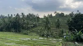 Di jual tanah dan banguan view sawah di tabanan bali