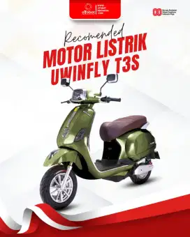Sepeda listrik UWINFLY T3S