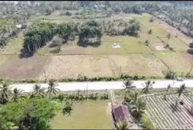 Jual tanah dekat pantai di Tanjung lesung banten jawa barat