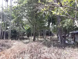 Dijual Tanah Di Duren Sawit Jakarta Timur Dengan Lokasi Strategis