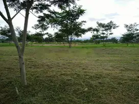 Dijual Kavling Tanah Padat Area Industri Cimareme Cimahi Bandung Barat
