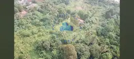 Jual Tanah Di Jl Maloko, Dangdang, Cisauk - Tangerang.