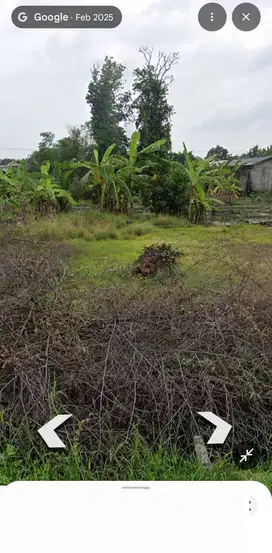 Lahan pertanian 10 HA harga 400 ribu permeter di Sooko, Mojokerto
