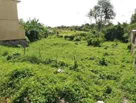 DIJUAL TANAH SIAP BANGUN LOKASI  AREA CANGGU BALI