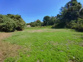 LAHAN 4415 m2 DI DEKAT OBJEK WISATA PANTAI YEH GANGGA - BALI