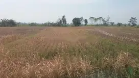Dijual Tanah Mainroad Jln. Raya Cipatik Soreang Bandung Selatan