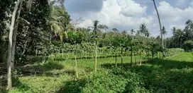 Dijual Tanah Luas Strategis Cocok Untuk Usaha Dan Investasi Di Kebumen