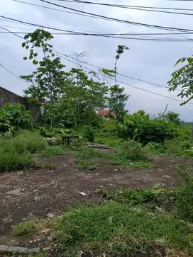 Dijual Tanah di Raya Nasional Bangil Pasuruan Murah Lokasi Strategis