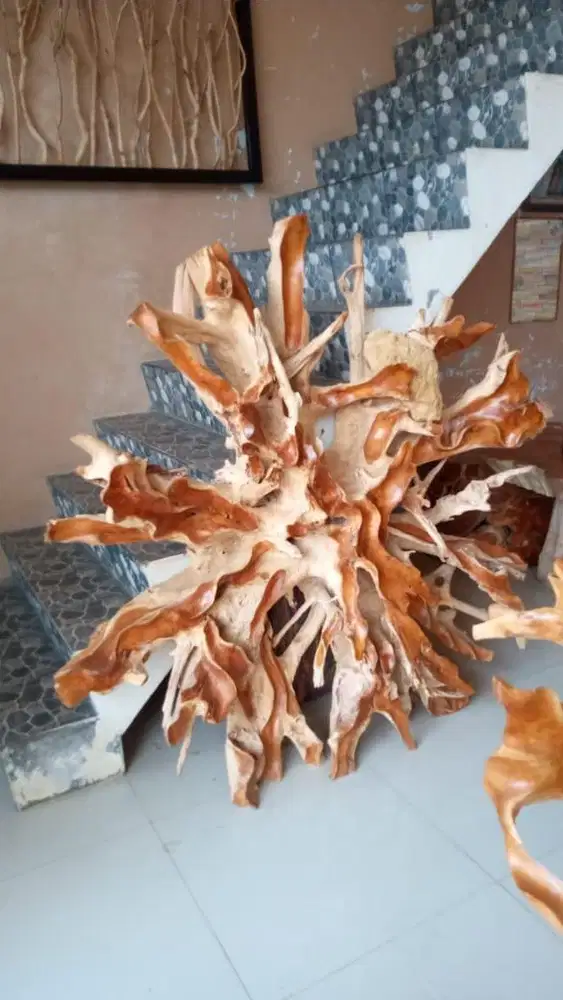 AKAR JATI HIASAN DINDING