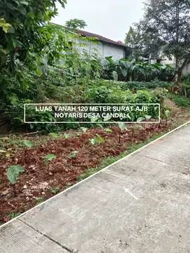 TANAH MURAH DAN DATAR STRATEGIS DI DESA CANDALI KABUPATEN BOGOR