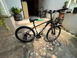 Alton Beast Mountain Bike