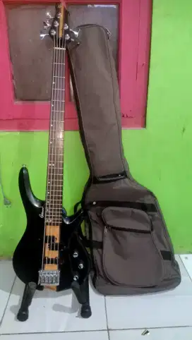 Bass Gillmore gb-255 5 strings