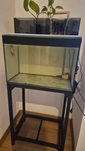Aquarium 60cm x 50cm