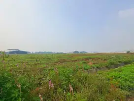 Tanah Lahan Industri 5000m2 dalam kawasan aman di Legok Tangerang