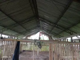 Disewakan bekas kandang ayam du saren jl Kaliurang km 10 ketimur