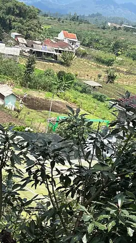 Dijual Tanah Villa Para Sultan Cuban Talun Bumiaji Batu