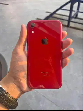 Iphone XR beacukai resmi