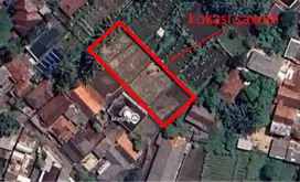 Dijual cepat sawah/kebun produktif murah (NEGO)