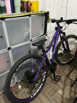 Sepeda MTB Polygon Cleo 2 Size S