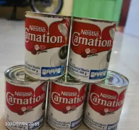 carnation 488 gr