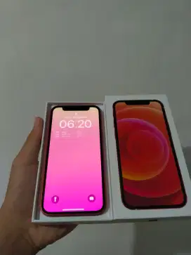 iPhone 12 Mini red