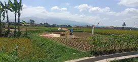DIJUAL SAWAH PRODUKTIF DI PURBARATU LOKASI STRATEGIS & PANEN MELIMPAH