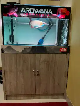 Aquarium kabinet ikan arwana SR 35cm