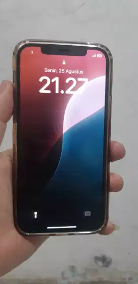Iphone 12 pro 256 5G resmi ibox pa/a