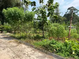 Tanah murah cocok buat kos lokasi patemon UNNES gunungpati