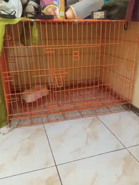 kandang kucing jumbo