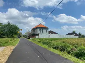 Dijual Tanah 18 Are View Sawah Cantik dekat Green School Internasional