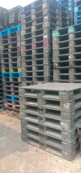 Palet plastik tatakan barang anti rayap