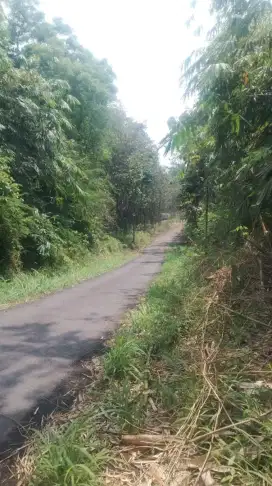 Jual tanah wakaf buat pemakaman keluarga