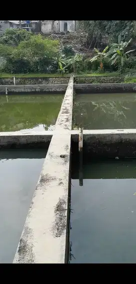 Dijual tanah kosong dan kolam ternak ikan