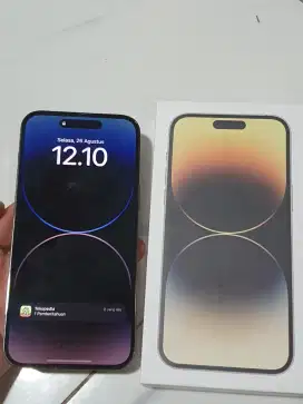 iphone 14 pro max gold intern