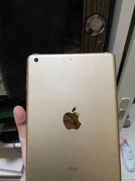 Ipad Mini 3 16gb