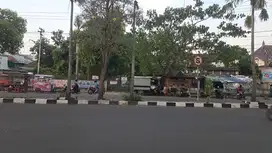 raya ahmad yani