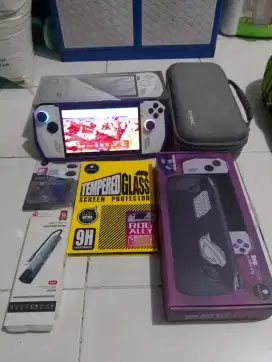 ROG ally biasa komplit